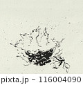 鳥の巣の中の3羽の雛鳥、ペンで描かれたモノクロイラスト、水彩用紙のテクスチャー 116004090