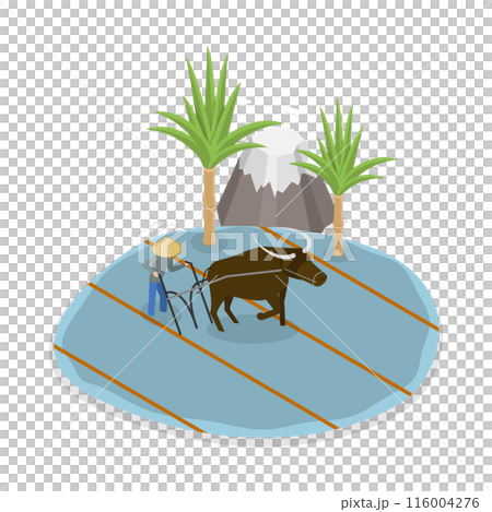 3D Isometric Flat Illustration of Rice Farm. Item 1 3D Isometric Flat Illustration of Rice Farm. Item 1 116004276