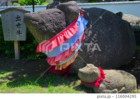 南蔵院　出世牛　東京都葛飾区東水元　 116004295