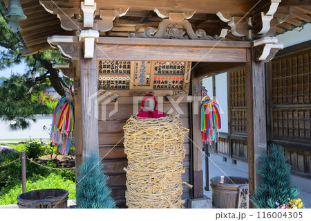 南蔵院 しばられ地蔵尊 東京都葛飾区東水元 南蔵院 しばられ地蔵尊 東京都葛飾区東水元 116004305