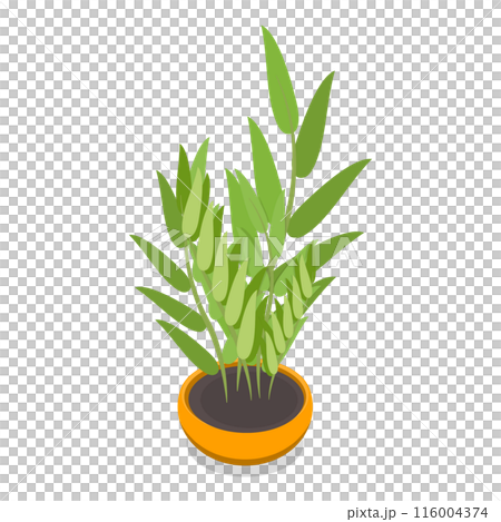 3D Isometric Flat  Set of Houseplants. Item 1 116004374