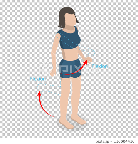 3D Isometric Flat  Illustration of Flexion And Extension. Item 2 116004410
