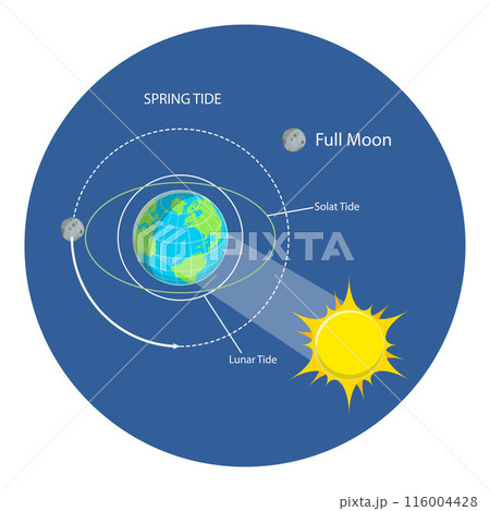3D Isometric Flat  Illustration of Lunar And Solar Tides. Item 2 116004428