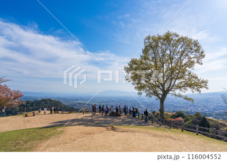 【春】奈良公園 若草山 【春】奈良公園 若草山 116004552