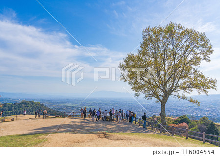 【春】奈良公園 若草山 【春】奈良公園 若草山 116004554