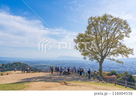 【春】奈良公園 若草山 【春】奈良公園 若草山 116004556