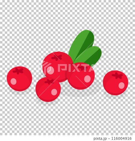 3D Isometric Flat  Set of Medical Herbs And Berries. Item 6 116004916