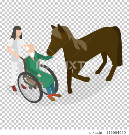 3D Isometric Flat Illustration of Hippotherapy. Item 3 3D Isometric Flat Illustration of Hippotherapy. Item 3 116004930