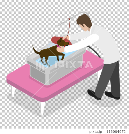 3D Isometric Flat Illustration of Pet Grooming. Item 2 3D Isometric Flat Illustration of Pet Grooming. Item 2 116004972