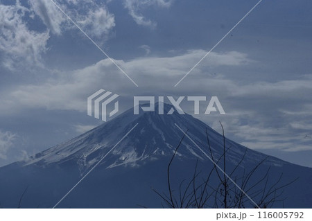富士山 116005792