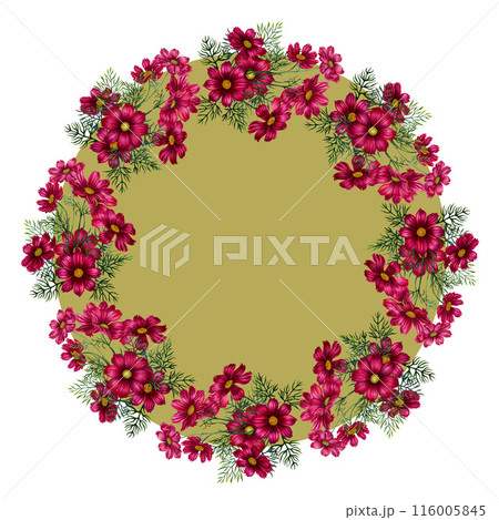 Round wreath of red, pink, purple cosmos flowers. Watercolor illustration of round frame template for cards for Mother's Day, Valentine's Day, textile, fabric, perfume, aromatherapy, alchemy, magic 116005845