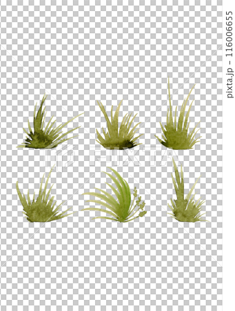 A collection of watercolor paintings of green tussocks for any of your designs. Grass silhouette. Watercolor print. Summer splash banner. Modern Art 116006655