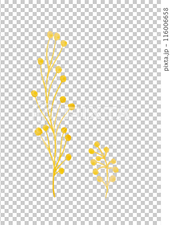 Herbaceous plant. Watercolor twigs, great design for any purpose. Decorative botanical set. Abstract silhouettes of branches. Summer nature clipart. Simple sketch drawing 116006658