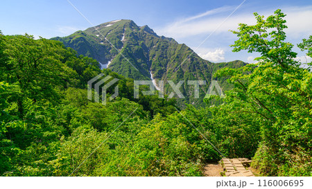 (群馬県)谷川岳天神尾根からの眺め (群馬県)谷川岳天神尾根からの眺め 116006695