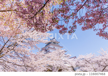 日本さくら名所100選　福島　鶴ヶ城（会津若松城） 116007468