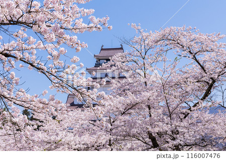 日本さくら名所100選　福島　鶴ヶ城（会津若松城） 116007476