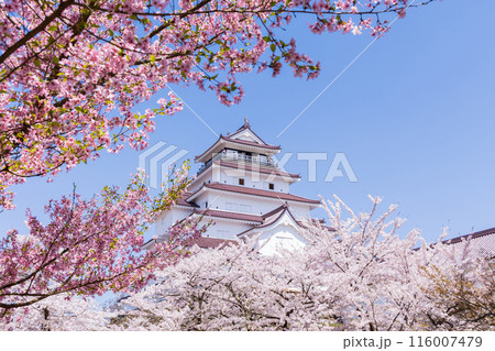 日本さくら名所100選　福島　鶴ヶ城（会津若松城） 116007479