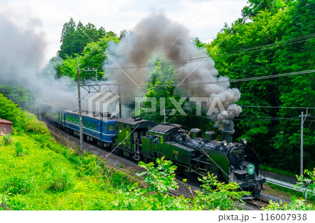 黒煙を吐きながら坂道を登るSL大樹　2024 116007938