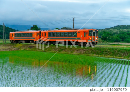 夕暮れの津軽鉄道　津軽中里⇔五所川原　2024 116007970