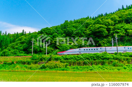 秋田新幹線 こまち　単線区間(大曲～盛岡)　2024 116007974