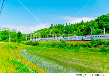 秋田新幹線 こまち 単線区間(大曲~盛岡) 2024 秋田新幹線 こまち 単線区間(大曲~盛岡) 2024 116007975