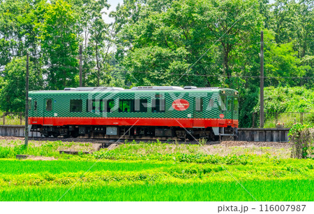真岡鐵道　モオカ14形ディーゼル動車 116007987