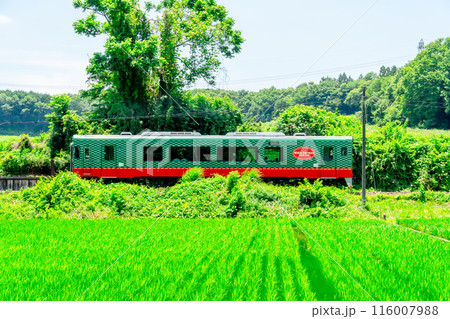 真岡鐵道 モオカ14形ディーゼル動車 真岡鐵道 モオカ14形ディーゼル動車 116007988