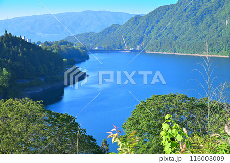 赤谷湖　景観スポット　猿ヶ京温泉　新緑の季節　 116008009