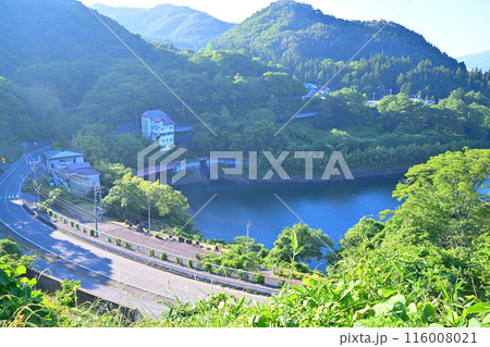 赤谷湖　国道17号ゆけむり街道　猿ヶ京温泉　新緑の季節　 116008021