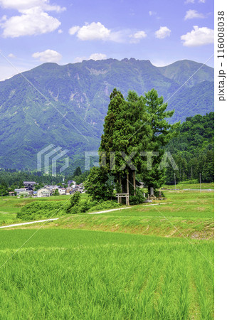 鎮守の森と八海山（縦） 116008038