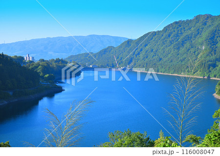 赤谷湖 景観スポット 猿ヶ京温泉 新緑の季節 赤谷湖 景観スポット 猿ヶ京温泉 新緑の季節 116008047