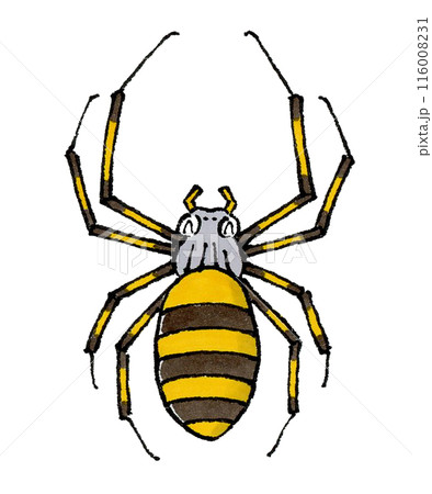 喜ぶジョロウグモ 喜ぶジョロウグモ 116008231