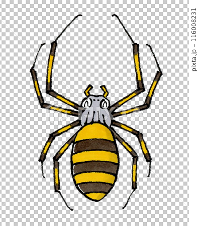 喜ぶジョロウグモ 喜ぶジョロウグモ 116008231