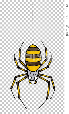 糸にぶら下がるジョロウグモ 116008248