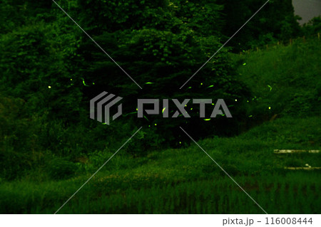 みなかみ蛍の里 116008444