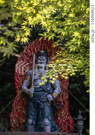 篠栗・南蔵院 篠栗・南蔵院 116008621