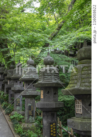 篠栗・南蔵院 116008622