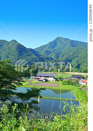 国道17号　街道沿い　猿ヶ京温泉付近の農村風景　新緑の季節　 116008640