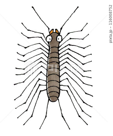 ゲジゲジ ゲジゲジ 116008752