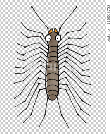 ゲジゲジ ゲジゲジ 116008752