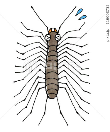 困るゲジゲジ 116008753