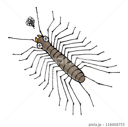 瀕死のゲジゲジ 116008755