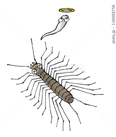 死んだゲジゲジ 死んだゲジゲジ 116008756