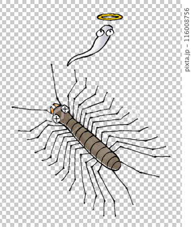 死んだゲジゲジ 死んだゲジゲジ 116008756