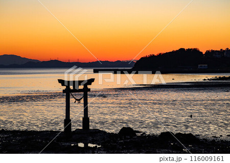 海に浮かぶ鳥居と夕暮れ 116009161