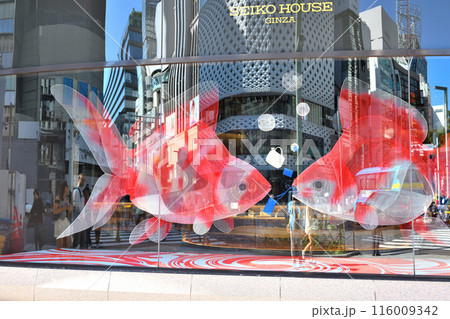 銀座四丁目交差点のショーウインドウに泳ぎ巨大な金魚の飾り 116009342