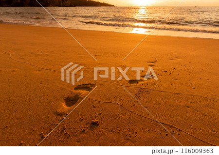 Footprints on the beach sand at sunset. Footprints on the beach sand at sunset. 116009363