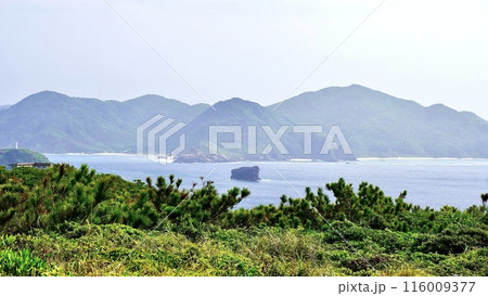 沖縄県座間味島のウナジノサチ展望台から見える風景 116009377