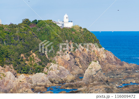 断崖絶壁に立つ灯台 116009472