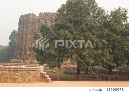 インド デリー クトゥブ･ミナールの風景 116009714